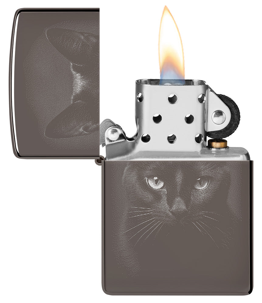 Schattenkatze
