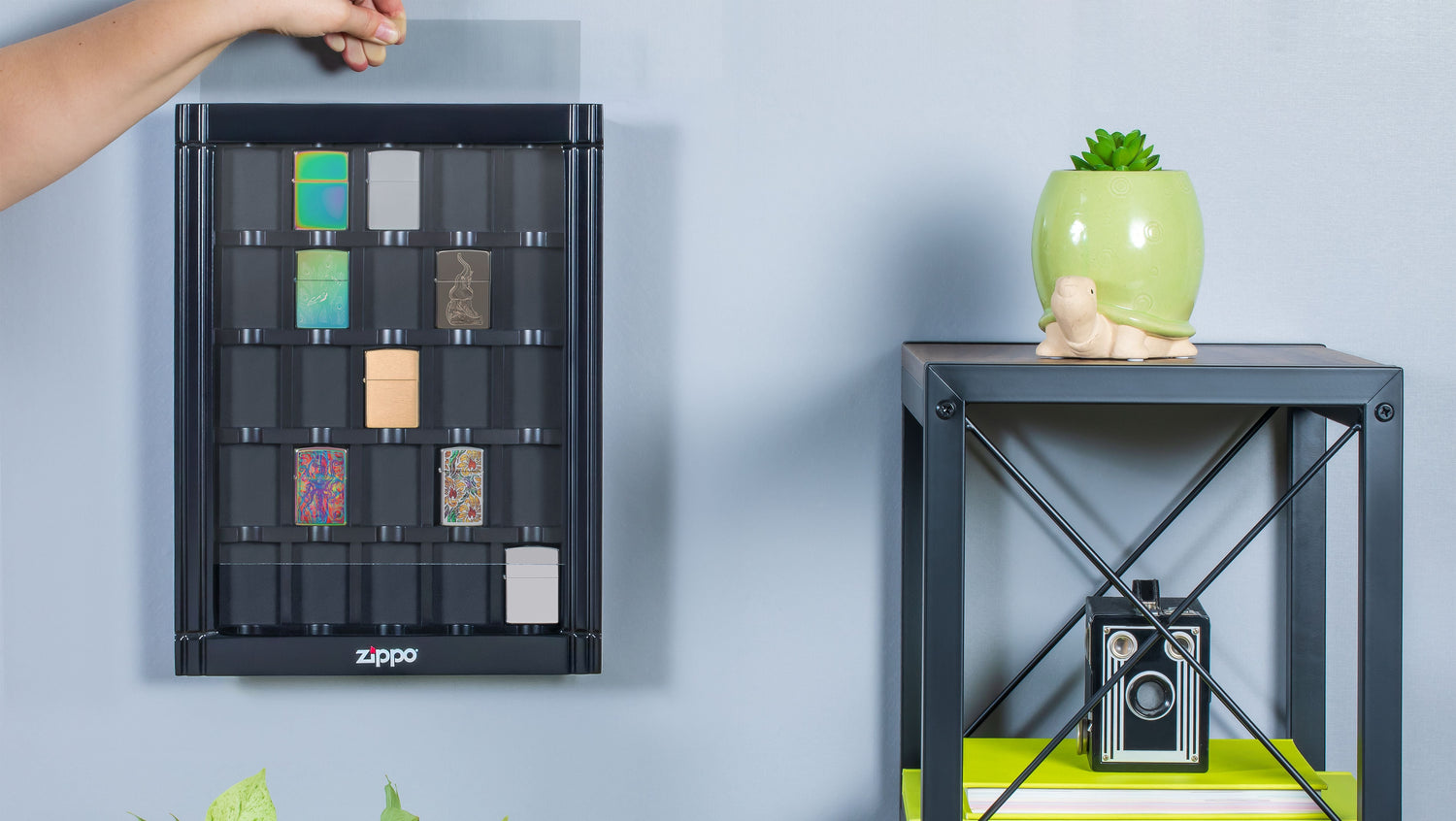 Sammlervitrine