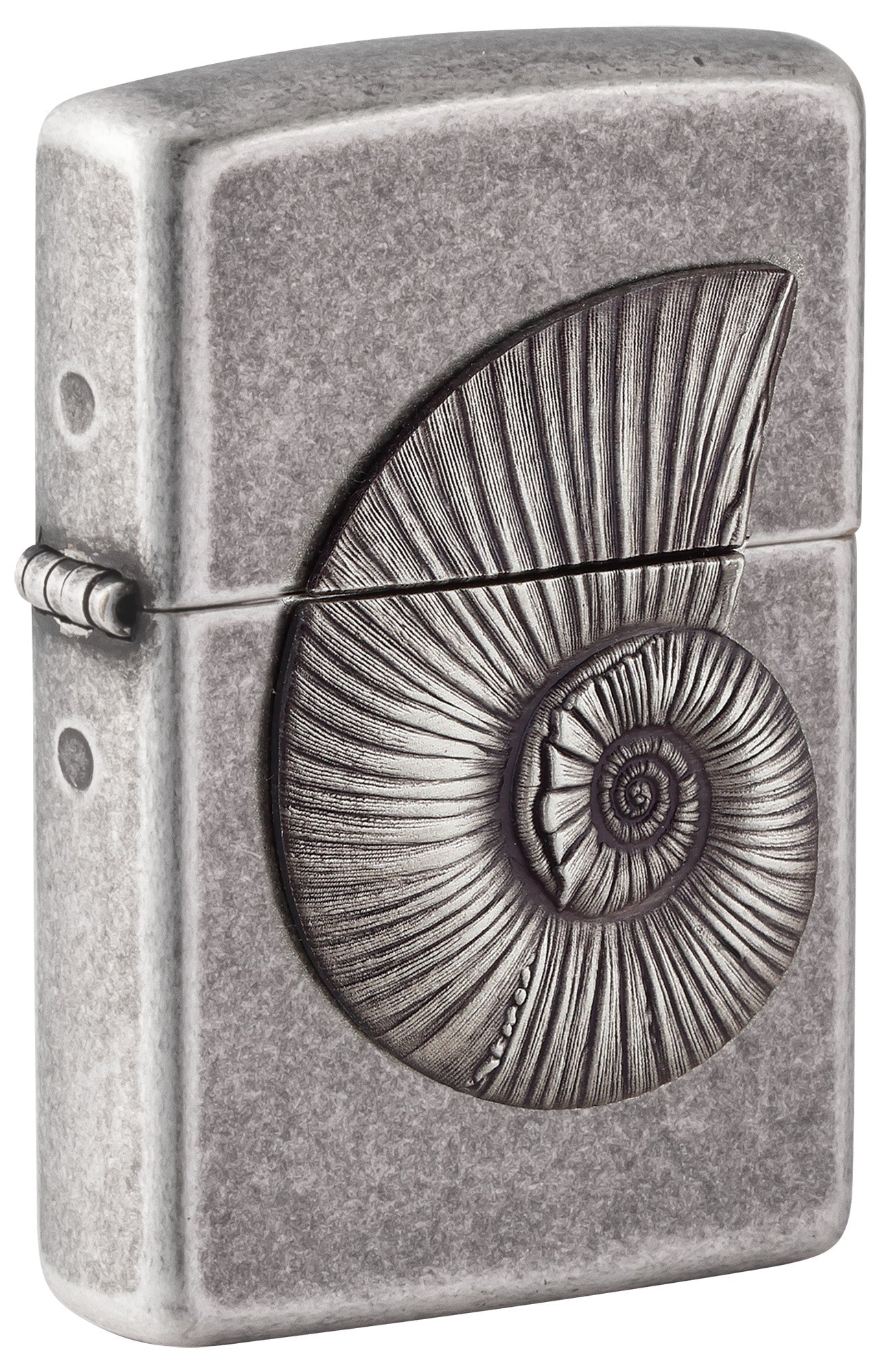 Fossile Muschel