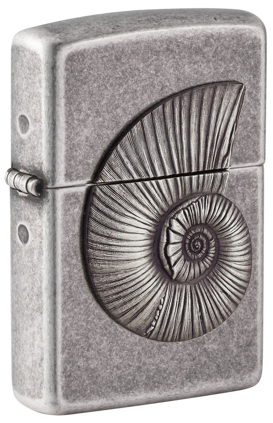 Fossile Muschel