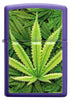 Zippo Feuerzeug Frontansicht lila matt mit Abbildung von Cannabis Pflanzen